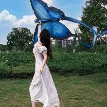 1pc Popular Blue Butterfly Easy-Fly Kite, High Aesthetic, Adult Use, Adult Photography Prop - Multicolor - View 4