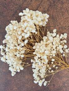 25/50/100/150/300pcs Mini Baby's Breath And Other Artificial Flowers - For Resin Mold Art And Handicrafts, Used For Hair Accessories, Wedding Wreaths, Table Flowers, Home Decor, Etc. - Beige - View 8