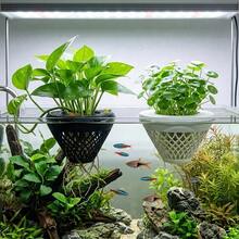 1個水族箱浮水植物盆，懸掛式水耕植栽盆，適用於淡水魚缸水質淨化與裝飾配件 - A - 查看 4
