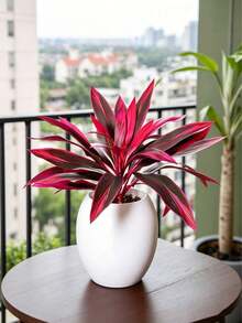 Helecho de Boston artificial púrpura, Dracaena, 12/18 piezas de hojas falsas púrpura y rojas, plantas artificiales tropicales, adecuadas para bodas, fiestas y decoración del hogar, ideales para Navidad y el Día de San Valentín, maceta no incluida - Rojo violeta - Ver 6