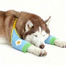 Dog Elbow & Leg Protectors, Anti-Abrasion & Anti-Scuff Front Leg Protective Sleeves For Pets, Adjustable Strap Knee Pads To Relieve Joint Wear During Walks - Blue - View 4