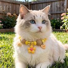 Kalung Anti Kutu dan Tungau untuk Kucing dan Anjing, Gaya Dopamin Musim Panas, Pengusir Nyamuk, Kalung Anti Kutu dan Tungau untuk Kucing dan Anjing - MultiWarna - View 5