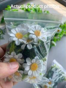 15件人造迷你雛菊，清新自然風格，2.4~3.4英吋易於照顧的塑料花，適合全年使用，完美適用於婚禮和生日派對、微縮模型、DIY手工、收藏裝飾、手帳、汽車、仙女花園、陽台、露台和花園 - 迷你雛菊 - 查看 11