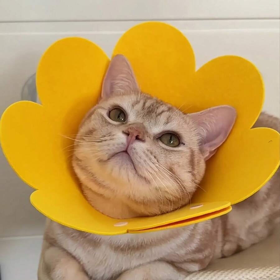 Adjustable Pet Elizabethan Collar, Suitable For Cats, Kittens, Rabbits And Other Pets, Protects Neck, Promotes Wound Healing, Practical Neck Guard, Yellow Flower Design - Multicolor - View 1