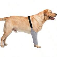Medium To Large Dog Post-Surgery Recovery Protective Suit, Gray XL, With Elastic Band Front Leg Sleeves, Soft Elbow Support, Elizabeth Collar Alternative, Prevents Licking Leg Wounds, Enhanced Support, Suitable For Injuries And Hip Dysplasia - Multicolor - View 8