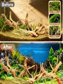 天然沉木、杜鵑花木，適用於：爬蟲類、水族寵物繁殖箱、魚缸、水族裝飾 - 隨機形狀發貨，形狀不一，請謹慎下單 - 彩色 - 查看 2