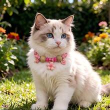 Kalung Anti Kutu dan Tungau untuk Kucing dan Anjing, Gaya Dopamin Musim Panas, Pengusir Nyamuk, Kalung Anti Kutu dan Tungau untuk Kucing dan Anjing - MultiWarna - View 6