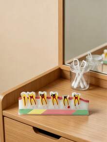 Dental Caries Model Teeth Anatomy Disease Progression Display Set - Severe Decay, Residual Roots & Successor Teeth Visual Aid Tool, Suitable For Oral Health Education, Dentist Clinic Decor & Student Learning - Multicolor - View 5