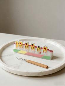 Dental Caries Model Teeth Anatomy Disease Progression Display Set - Severe Decay, Residual Roots & Successor Teeth Visual Aid Tool, Suitable For Oral Health Education, Dentist Clinic Decor & Student Learning - Multicolor - View 4
