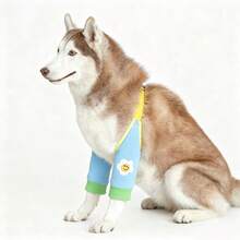 Dog Elbow & Leg Protectors, Anti-Abrasion & Anti-Scuff Front Leg Protective Sleeves For Pets, Adjustable Strap Knee Pads To Relieve Joint Wear During Walks - Blue - View 6