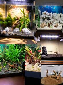 天然沉木、杜鵑花木，適用於：爬蟲類、水族寵物繁殖箱、魚缸、水族裝飾 - 隨機形狀發貨，形狀不一，請謹慎下單 - 彩色 - 查看 7