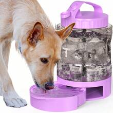 Portable Large Dog Water Bottle 77oz Leak Proof Travel Pet Water Dispenser For Hiking Camping And Outdoor Walks - Purple - View 9