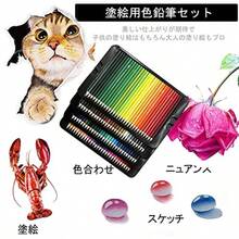 色鉛筆 72色 油性 子供と大人 塗り絵 色鉛筆セット プロ仕様 柔らかい芯 いろえんぴつ 収納ケース 鉛筆削り付き - 120色入り油性色鉛筆 - チェックする 5