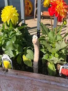 1/3/5 pezzi Decorazione pianta verme disperato carino - Accessori da giardino e cortile in silicone e resina con cartello "Bevi me", senza batteria, perfetto per piante da interno/esterno, tema Ognissanti, stile classico, decorazione da giardino, design scherzoso, decorazione durevole, ornamento da giardino, decorazione da giardino esterno, decorazione Ognissanti, accessori da giardino, grande decorazione da giardino - A - Visualizzare 4
