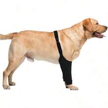 Medium To Large Dog Post-Surgery Recovery Protective Suit, Gray XL, With Elastic Band Front Leg Sleeves, Soft Elbow Support, Elizabeth Collar Alternative, Prevents Licking Leg Wounds, Enhanced Support, Suitable For Injuries And Hip Dysplasia - Multicolor - View 7