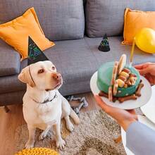 Colorful Scratch Card Party Hat Set - Cone Hats With Elastic Cord And Pen, For Creative Decoration And Group Interaction, 36pcs - Multicolor - View 4