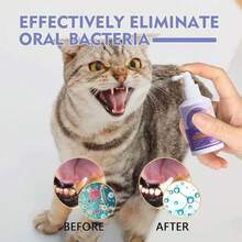 Pet Shampoos - A - View 4