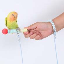 Soft Elastic Bird Flying Training Leash With Anti-Lost Foot Ring, Adjustable Lightweight Parrot Harness Rope With Coil Wrist Band, Outdoor Training Walking Lead For Small Medium Birds Cockatiel Budgie Conure - 1pc Training Hoop - View 8