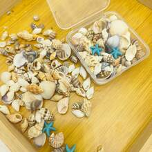 Paquete mixto de estrellas de mar y conchas de resina | Caja cuadrada de 6.5cm - Adecuado para accesorios de decoración de conchas DIY para entusiastas de las manualidades, decoración de arena del fondo del acuario y creación de micro paisajes en botellas a la deriva, colores y patrones aleatorios - Colocar - Ver 4