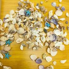 Paquete mixto de estrellas de mar y conchas de resina | Caja cuadrada de 6.5cm - Adecuado para accesorios de decoración de conchas DIY para entusiastas de las manualidades, decoración de arena del fondo del acuario y creación de micro paisajes en botellas a la deriva, colores y patrones aleatorios - Colocar - Ver 7