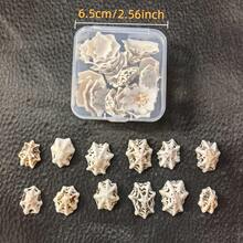 1盒約30g或1盒約60g海洋帽貝殼,適用於DIY珠寶製作、魚缸浴室家居裝飾、派對蠟燭婚禮裝飾、手工藝品 - 套裝 - 查看 14