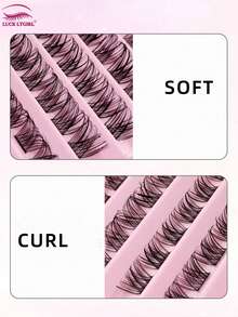 110 Clusters DIY False Eyelash Extension Set, Fine And Soft, Lightweight, Single Cluster Natural Eyelashes, False Eyelash Clusters, Single Strand False Eyelashes - D - View 6