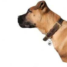 2pcs Dog And Cat Collars With Round Metal Pet Bells - The Ideal Choice For Training And Pet Additions - Silver - View 4