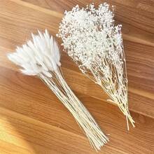 棕色人造蘆葦草花束 大兔尾草 43.18cm 波西米亞風人造蓬鬆蘆葦 婚禮居家桌面派對裝飾（經典款） - 白色 - 查看 5