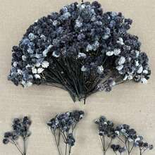 25/50/100/150/300pcs Mini Baby's Breath And Other Artificial Flowers - For Arts And Crafts, Hair Accessories, Wedding Wreaths, Table Flowers, Home Decor, Etc. - Black - View 1