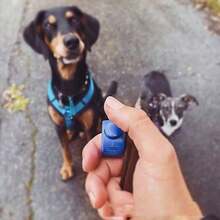 Dog Training Clicker Ring Wearable Pet Clicker For Positive Reinforcement Cat Obedience Training Aid Hands Free Clicker Tool For Puppy Training Professional Pet Trainer Supplies Clickable Finger Ring For Dog Cat Agility Training Device Essential - Multicolor - View 9