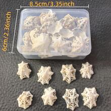 1盒約30g或1盒約60g海洋帽貝殼,適用於DIY珠寶製作、魚缸浴室家居裝飾、派對蠟燭婚禮裝飾、手工藝品 - 套裝 - 查看 9