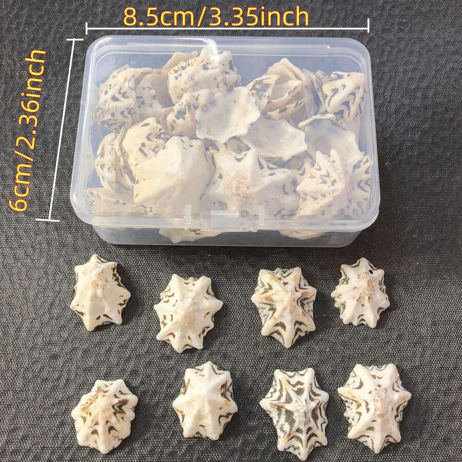 1盒約30g或1盒約60g海洋帽貝殼，適用於DIY珠寶製作、魚缸浴室家居裝飾、派對蠟燭婚禮裝飾、手工藝品
