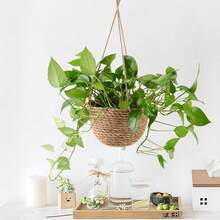 吊掛式植栽籃，2種尺寸可選，陽台與露台綠植裝飾花盆，室內窗台壁掛植物種植籃，適合黃金葛與吊蘭的吊掛盆栽收納容器，Ins風居家氛圍花卉裝飾籃，內建防水保護層可直接種植，加長吊繩可調節高度 - 半球形 - 查看 5