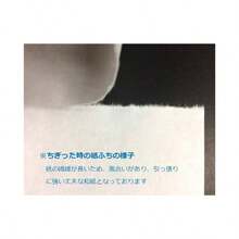 ペーパーエントランス 奉書紙 和紙 コピー用紙 A4 便箋 写経 プリンター用紙 謝辞 式辞 25枚 55002 - 50個 - チェックする 8