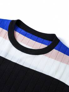Men's Spring/Autumn Colorblock Fashion Minimalist Crew Neck Long Sleeve Sweater - Blue - View 5