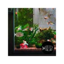 60mm Transparent Round Fish & Shrimp Feeding Dish (Non-Glass Material, With Suction Cup, Prevents Food Spillage) - Multicolor - View 5