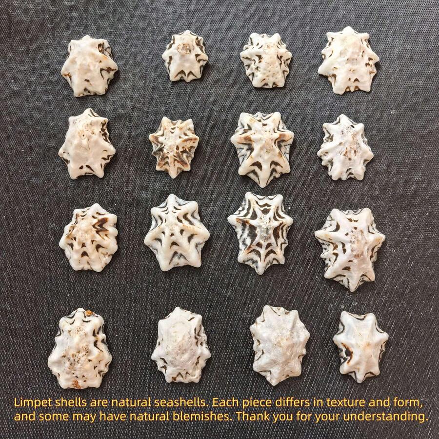 1盒約30g或1盒約60g海洋帽貝殼，適用於DIY珠寶製作、魚缸浴室家居裝飾、派對蠟燭婚禮裝飾、手工藝品