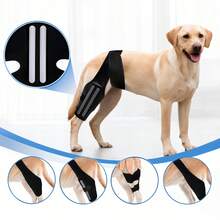 Adjustable Rear Leg Support Dog Knee Brace Canine Leg Injury Rehabilitation Aid For Large Dogs Arthritis Pain Relief Post - Operative Recovery - View 9