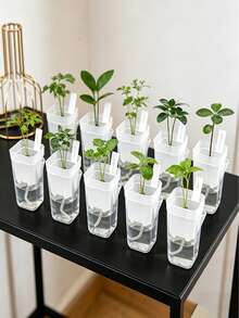 Self-Watering Transparent Planter Set, Mini Indoor Flower Pot With Water Level Indicator 1pc/4pcs/2pcs - Self-watering Flower Pots - View 7