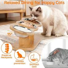 15° Tilted Stainless Steel Dog Bowl - Anti-Spill Anti-Slip Elevated Feeder, Suitable For Cats & Dogs, Ergonomic Design Promotes Healthy Eating And Digestion - Multicolor - View 5