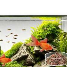 60mm Transparent Round Fish & Shrimp Feeding Dish (Non-Glass Material, With Suction Cup, Prevents Food Spillage) - Multicolor - View 9