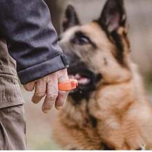 Dog Training Clicker Ring Wearable Pet Clicker For Positive Reinforcement Cat Obedience Training Aid Hands Free Clicker Tool For Puppy Training Professional Pet Trainer Supplies Clickable Finger Ring For Dog Cat Agility Training Device Essential - Multicolor - View 8