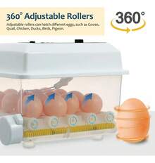Egg Handling Supplies - US A Type Plug(110-127V) - View 2