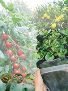 Extra Large Zippered Drawstring Fruit Tree Protection Bag, Breathable Gardening Fruit Protective Net Bag, Reusable Bird And Insect Proof Fruit Protection Cover, Durable Plant Fruit Isolation Cover, Outdoor Orchard Planting Protection Net Bag, Essential Fruit Protection Cover For Gardening Enthusiasts, Multi-Functional Fruit Wrapping Storage Bag, Compatible With Apples, Peaches, Oranges, Grapes, Cherries, Mangoes, Farm, Yard, Patio, Garden Planting Supplies, Fruit Isolation Bag, Tightening Fruit Protection Cover For Home And Fruit Farmers - Multicolor - View 4