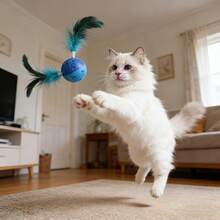 1pc Cat Toy Pet Toy Dog Toy Feather Rolling Toy, Made Of Simulated Feathers And Polyester Material - Multicolor - View 2