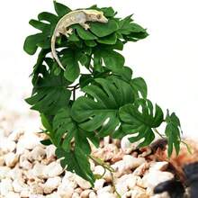 Artificial Tropical Rainforest Plants For Reptiles, Pet Reptile Terrarium Plants Decoration, Suction Cup Installation, Glass Container Reptile Plants Decoration, Pet Reptile Habitat Plants, Lizard, Crested Gecko, Bearded Dragon, Snake, Horned Frog, Snail, Insect Terrarium Decoration - View 6