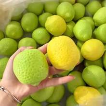 Set Mainan Pereda Stres Berbentuk Lemon yang Berubah Warna, Mainan Buatan Tangan yang Dapat Diremas dengan Tekstur Renyah, Terbuat dari TPR, untuk Meredakan Stres, Hadiah - MultiWarna - View 9