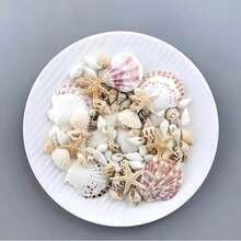 Approx. 110pcs/Box Mixed Natural Seashells 200g Pink Shells 300g Yellow Conch - Suitable For DIY Jewelry Making, Aquarium Decoration, Bathroom Decor, Party Candles, Wedding Decoration, Handmade Projects - Set - View 5