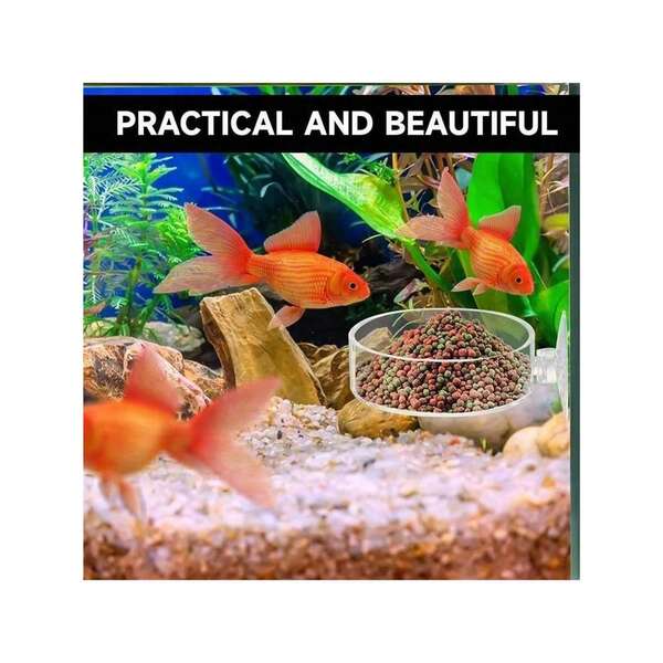 60mm Transparent Round Fish & Shrimp Feeding Dish (Non-Glass Material, With Suction Cup, Prevents Food Spillage)