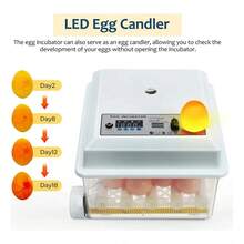 Egg Handling Supplies - US A Type Plug(110-127V) - View 3